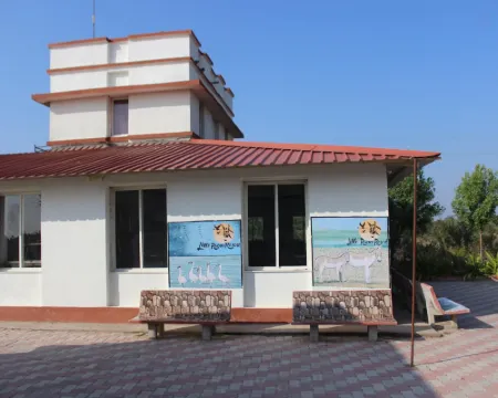 Little Rann Resort Hotels in Surendranagar