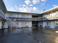 Ace Motel