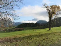 Amberg Hôtels à : Schwoich