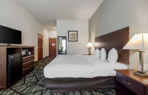 麥金尼貝斯特韋斯特優質套房酒店