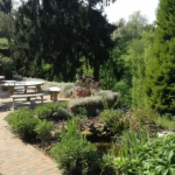 Vertes Feuilles Hoteles en 