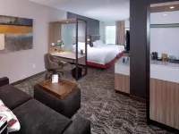 SpringHill Suites Newark Downtown Hotels in Newark