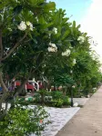 Rombaramee Villa Resort - WiFi