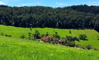 Hotel Garni Schmieder’s Ochsen