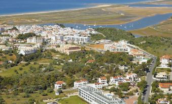 Pelican Alvor