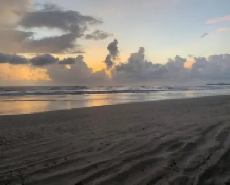 엑소티카 비치 리트리트 디베아가르