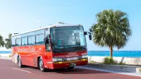Royal View Hotel Churaumi - Parking