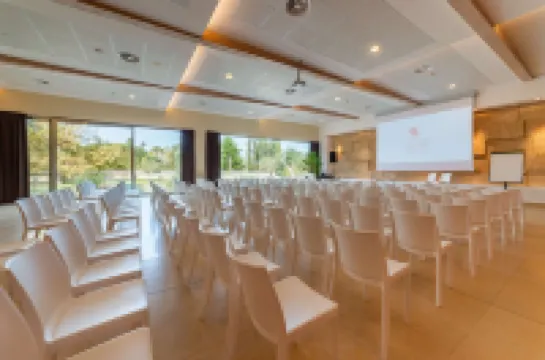 Best Western Plus Leone di Messapia Hotel  Conference