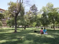 Park Plaza Apart Hotel Hotels near Castillo Hidalgo
