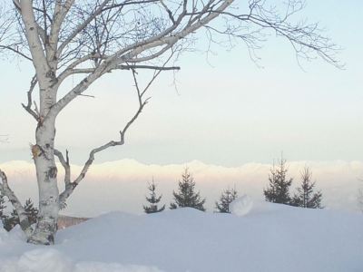 ホテル周辺 時空の杜の写真