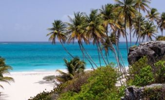 a beautiful beach with white sand and blue water , surrounded by tall palm trees and lush greenery at Santosha Barbados