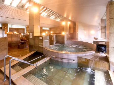 Shikibu Onsen Yurari Отели рядом со станцией Echizen-Takefu Station