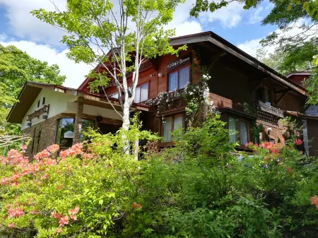 Pension Snowfall Meteor