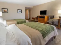 Comfort Inn & Suites Syracuse-Carrier Circle