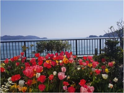 ホテルからの眺望 三陸花ホテルはまぎくの写真