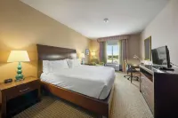 Hilton Garden Inn Lawton-Fort Sill - Pet friendly