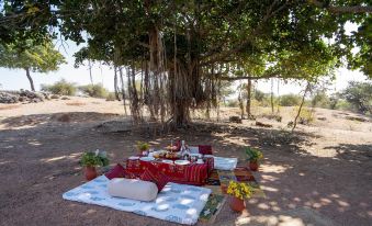 Brij Pola, Jawai - Luxury Jungle Camp with Private Pools