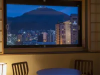 拉維斯塔函館灣別館酒店 - 山景