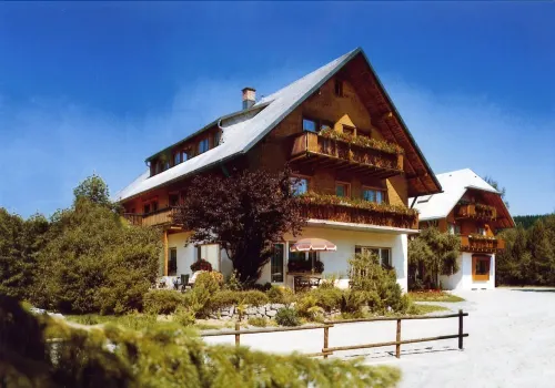 Naturion Hotel Hinterzarten - Wifi