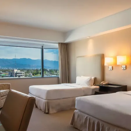 Hilton Mendoza