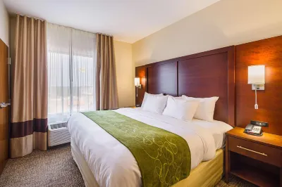 Comfort Suites Greenville South Hotels in Anderson County