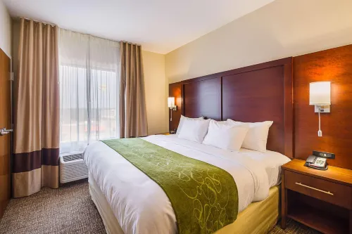 Comfort Suites Greenville South