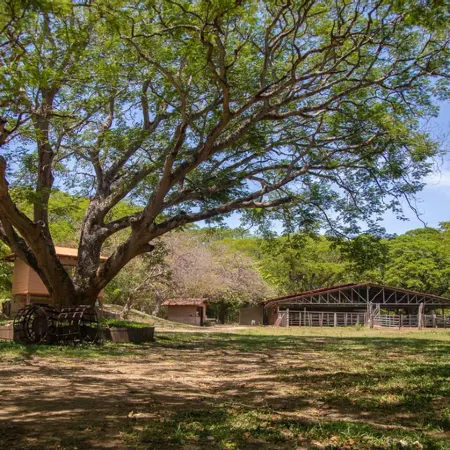 Rancho Humo Estancia