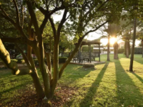 โรงแรมพาร์ค มาริเนตตา โรงแรมในBibbona