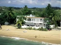 Coconut Palms Inn