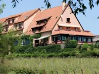 Hotel Restaurant Au Riesling Hotels in Zellenberg