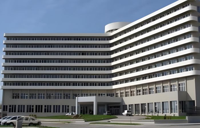 Rayentray Grand Hotel