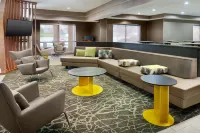 SpringHill Suites Charlotte University Research Park - parkir