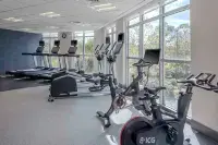 Hilton Garden Inn Charleston / Mt. Pleasant - Træningscentre