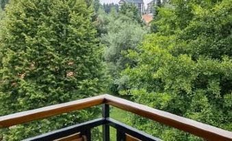 Zlatibor Highland