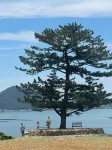 Namhae Sulliwa Caravan Pension - مبيت وإفطار