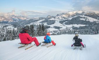 Aktiv Hotel Schweizerhof Kitzbühel