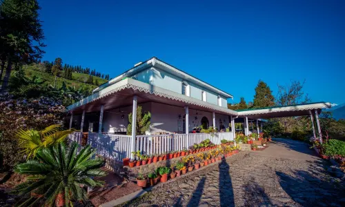 Eco Adventure Resorts the Temi Bungalow