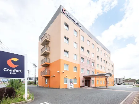 Comfort Inn Toyokawa Inter Отели в г. Синсиро