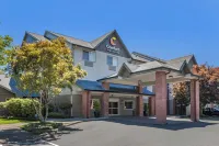 圖拉丁-南奧斯威戈湖舒適套房飯店 - Wi-Fi