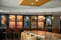 Ann Arbor Marriott Ypsilanti at Eagle Crest - bar