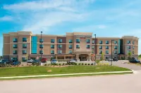 TownePlace Suites Lexington South/Hamburg Place - acceptant les animaux