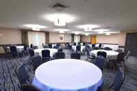Best Western Plus Flint Airport Inn  Suites