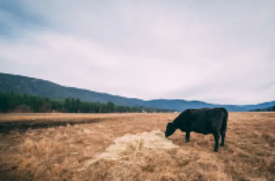 Meyers Ranch Cabin - Hot Spring- Farm