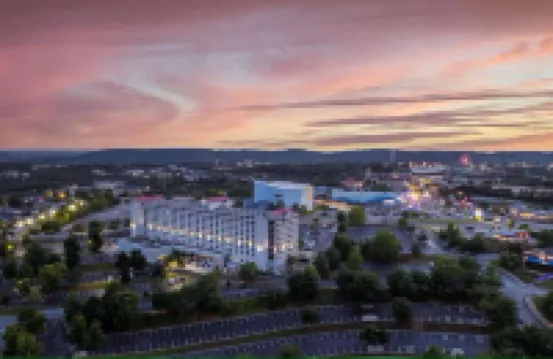 래디슨 호텔 브랜손  호텔