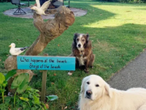 Pets welcome. Great Ocean View .  Remodeled Kitchen. Fire Pit. BBQ<br>Free WiFi. Hotels in Harbor