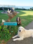 Pets welcome. Great Ocean View .  Remodeled Kitchen. Fire Pit. BBQ<br>Free WiFi.