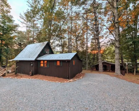HOT TUB! Nature Delight! 2 Acre Cabin Hot Tub- Creek & Dog Friendly Fast WIFI! Hotels in Laurel Fork