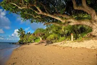 Charming, Romantic Beach Cottage at Anini Beach!  TVNC 1361
