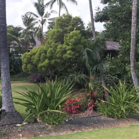 Just Reduced Rate for August, 10 Min Walk to Poipu Beach2 Bedroom with Air