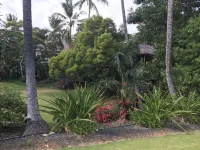 Just Reduced Rate for August, 10 Min Walk to Poipu Beach2 Bedroom with Air - 2-Star